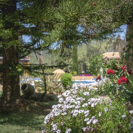 Mansion In Santa Eulalia Del Rio With Private Pool Villa Kültér fotó